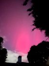 IMG_9447.jpeg