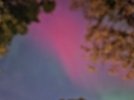 20241010_210605-EDIT.jpg