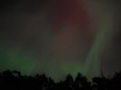 Resized_20241010_211132-EDIT.jpg