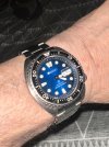 IMG_5028.jpeg
