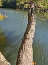 20241012_143828.jpg