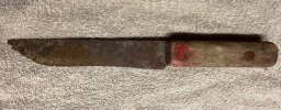 IMG_3205.jpeg