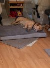 IMG_3294.jpeg
