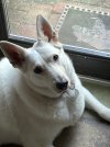 IMG_2608.jpeg