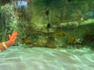 IMG_5628.jpeg