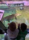 IMG_5632.jpeg