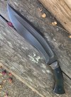 IMG_4408.jpeg IMG_4408.jpeg