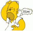 homer-simpson-doh1.gif