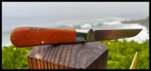 IMG_6437.jpeg