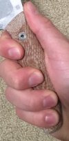IMG_2619.jpeg