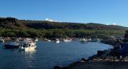 IMG_1635.jpeg