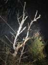 IMG_0531.jpeg