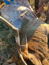 IMG_5813.jpeg