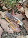 IMG_6528.jpeg