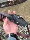 IMG_6705.jpeg