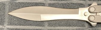 Spyderfly_3.jpg Spyderfly_3.jpg