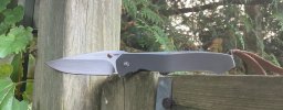 IMG_8341.jpeg