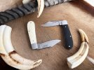 Paulsen - Gemsbok & Warthog 02.jpg