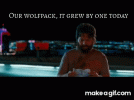 IMG_3242.gif