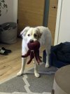 IMG_3765.jpeg