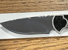 IMG_6935.jpeg