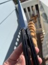 IMG_8720.jpeg