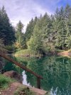 IMG_7685.jpeg