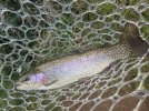 IMG_6979.jpeg