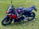 IMG_6239.jpeg