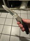 IMG_4100.jpeg