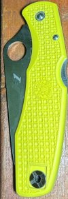 IMG_8267.jpeg