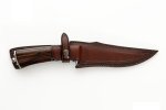 1729-5.jpg