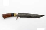 1740-2.jpg