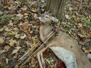 Spike buck - 1.jpeg