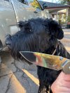 IMG_2915.jpeg