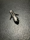 IMG_0673.jpeg