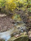IMG_6768.jpeg