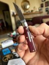 IMG_1406.jpeg
