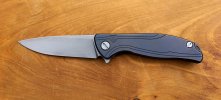 Shirogorov 95 R.jpg
