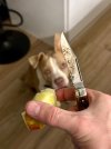 IMG_9128.jpeg