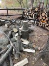 IMG_4979.jpeg
