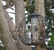 Goldfinches 03 - low res.jpeg