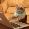 IMG_0149.gif