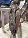 IMG_3368.jpeg