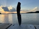 IMG_5074.jpeg