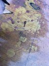 IMG_9785.jpeg