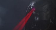 predator-laser-sight.jpg predator-laser-sight.jpg
