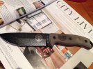 Esee 1.jpg