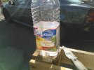 WP_001205.jpg