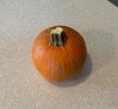 IMG_4439.jpeg